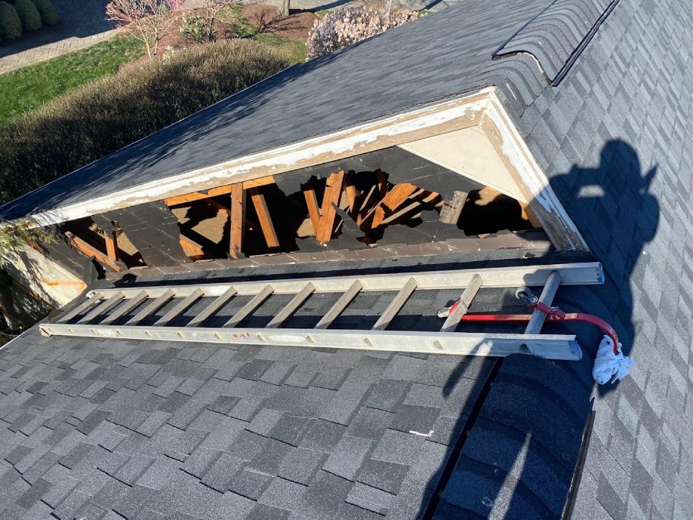 Dry Rot Repair