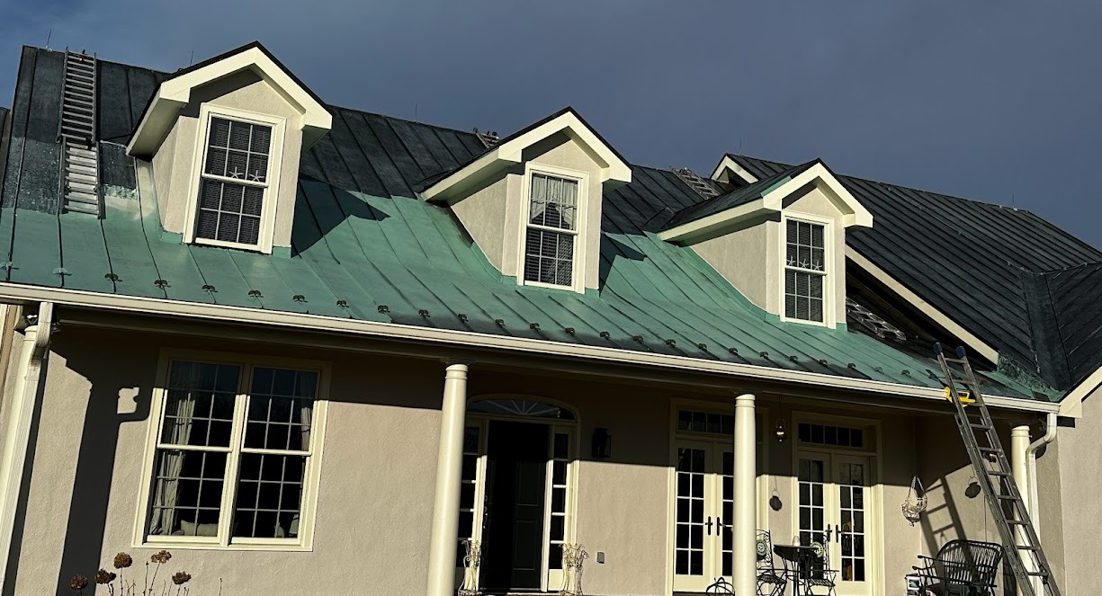 Skilled Metal Roof Painters