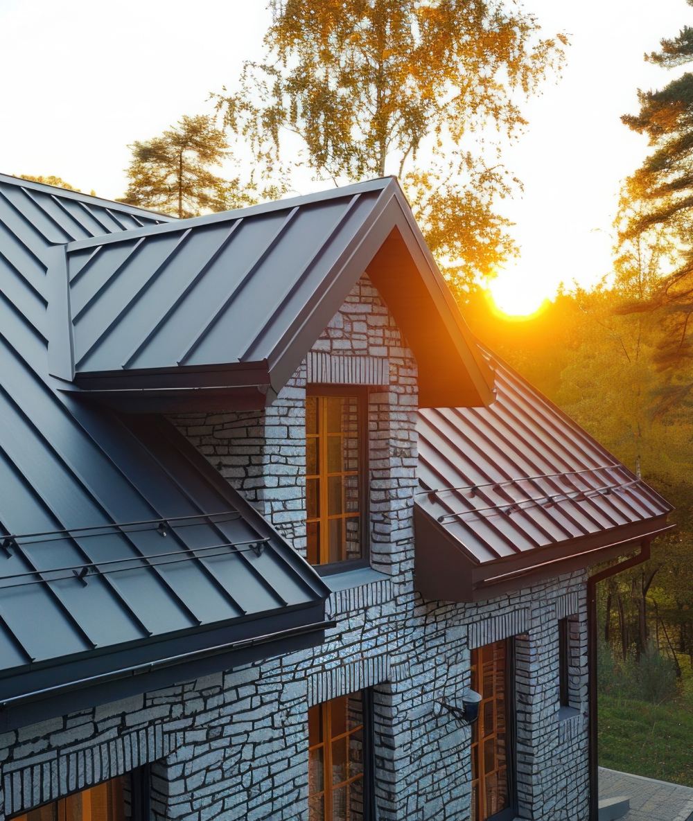 Metal Roof Painting